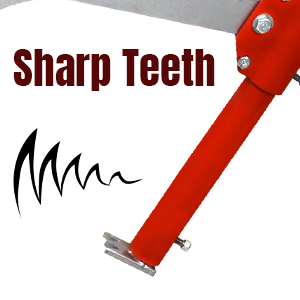 Sharp Teeth