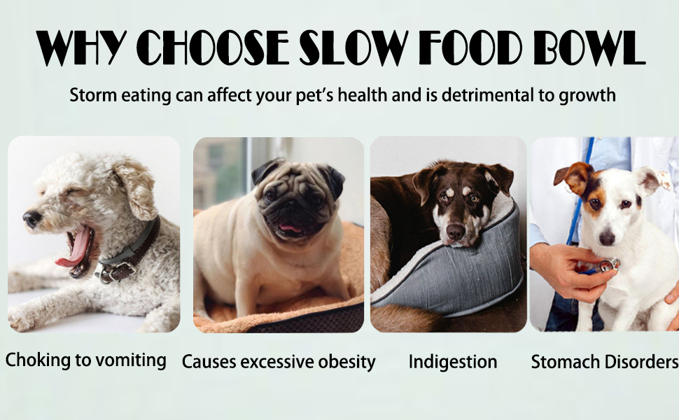 Slow Feeder Dog Bowl Silicone Dog Bowl Slows Down Dog