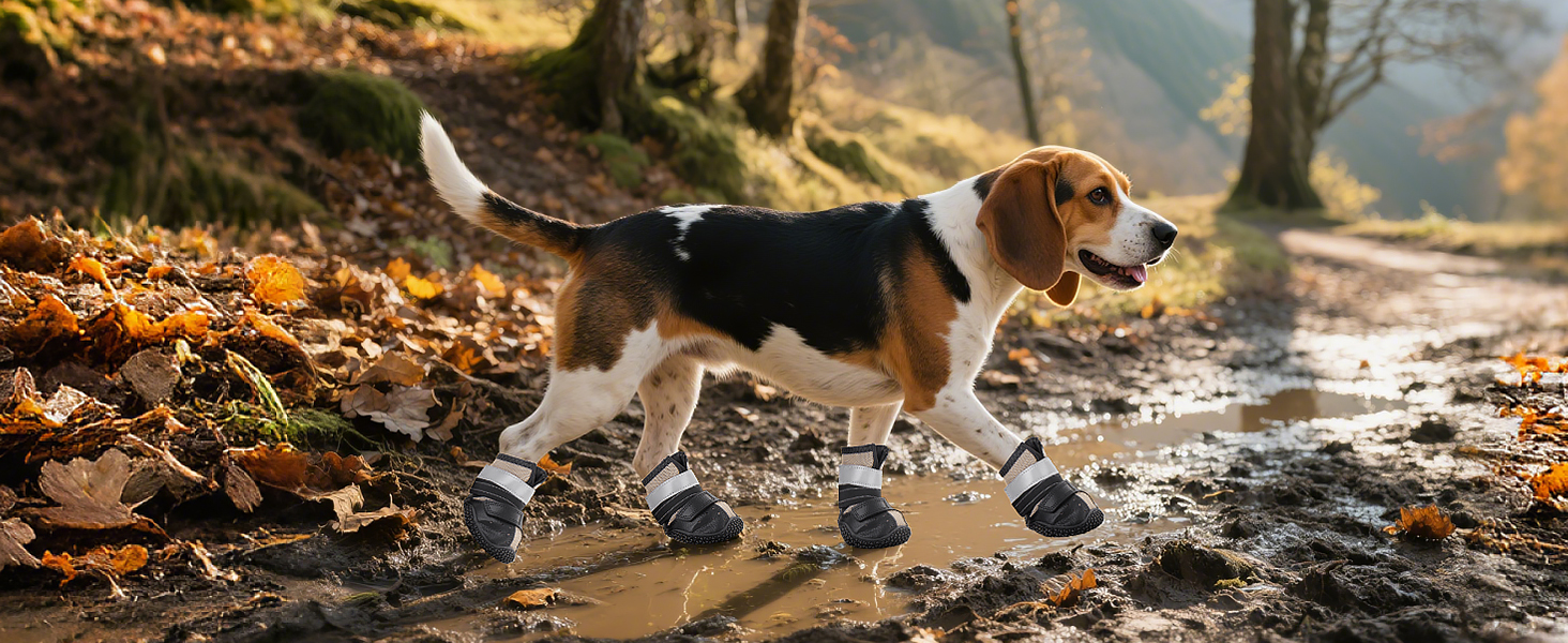 dog shoes hot pavement