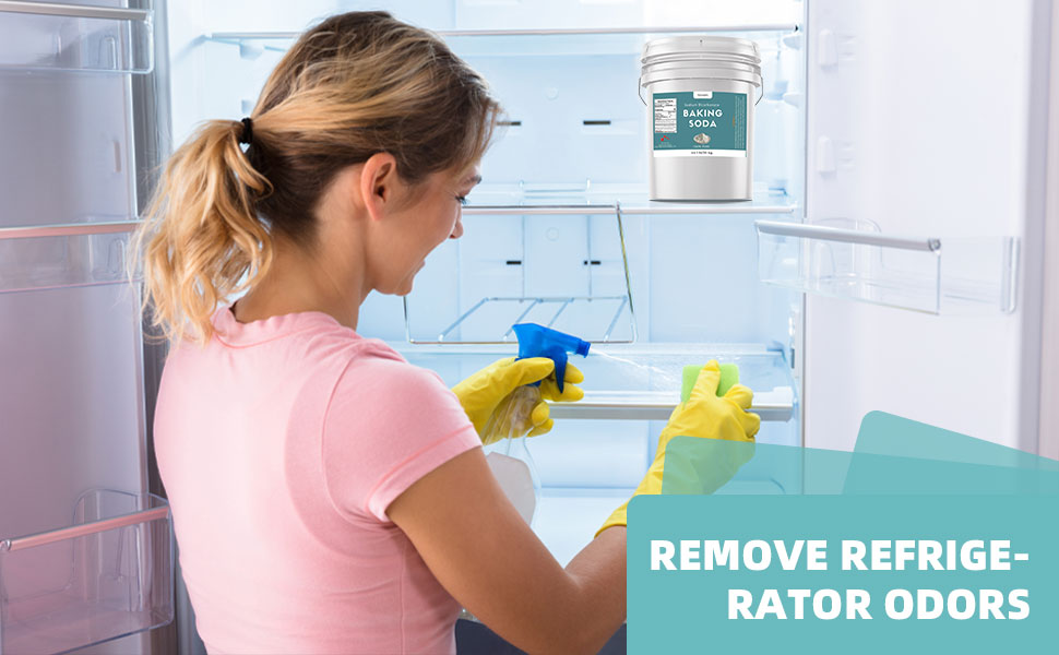 Sodium Bicarbonate Powder