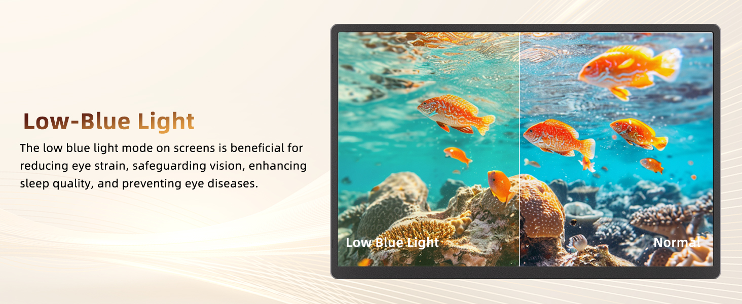 laptop screen extender