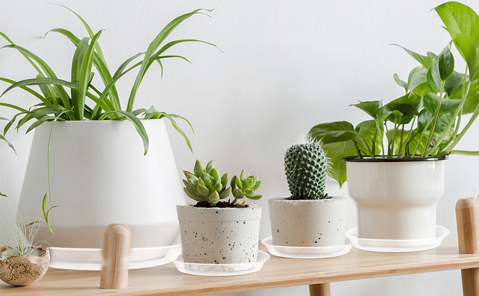 OUPSAUI 12 14 16 18 20 22 Inch Plant Saucer Pot Tray, 6