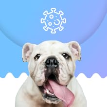 prana pets respiratory system support 