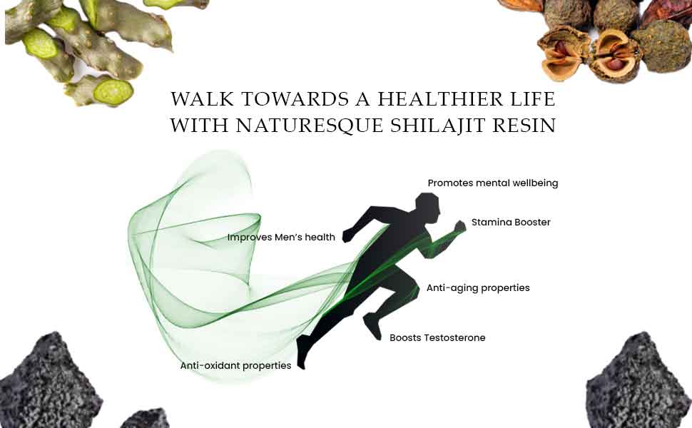 shilajit himalaya
