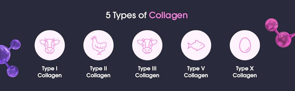 Obvi Collagen Burn Elite Fat Burner Weight Loss Support Thermogenic