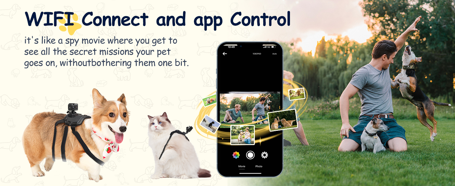 pet surveillance cameras for collars