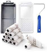 Mister Rui Paint Roller Kit, 16 Pack, 4 Inch Microfiber Paint Rollers, Small Paint Roller Covers,...
