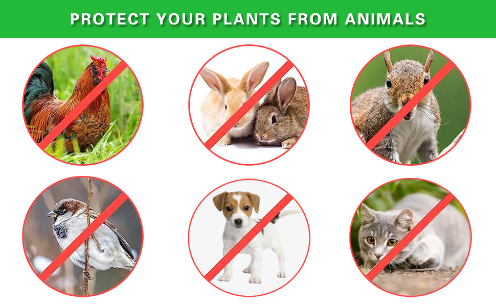 Protect plants aganist from animals