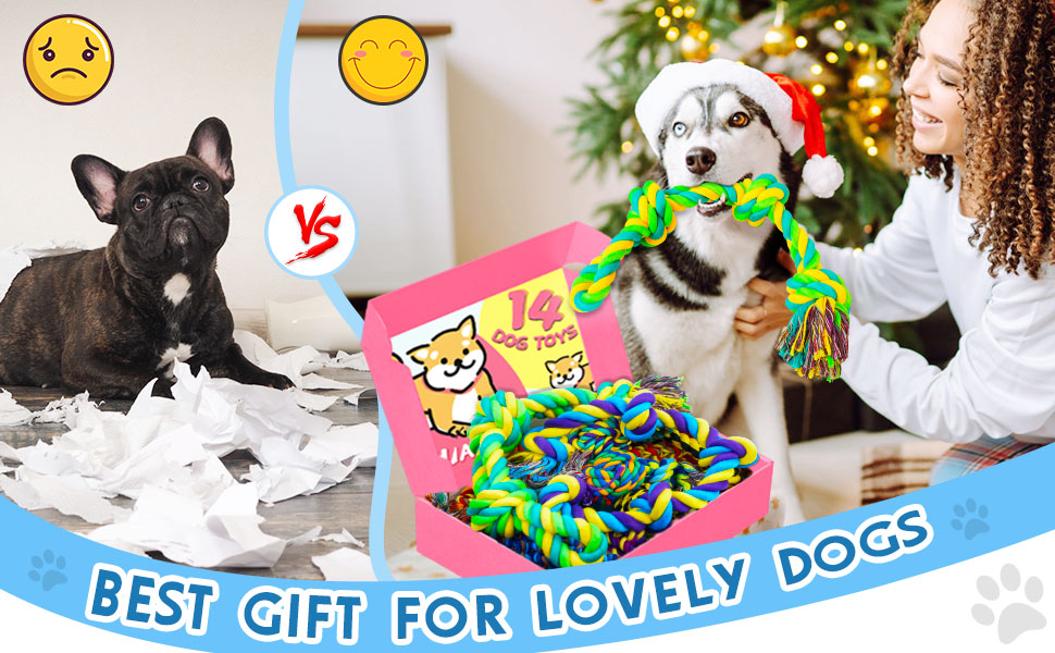 Durable Puppy Chew Toys for Teething