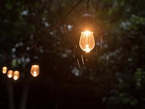 Outdoor Black Plug in Pendant Light