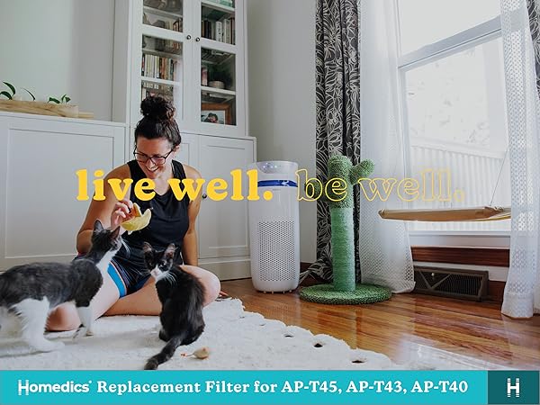 purifier in living room with cat