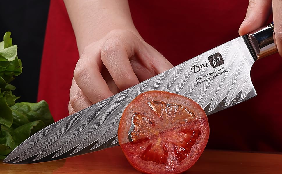 Dnifo Professional Sharp Kitchen Chef Knife 8 Inch, Damascus Steel