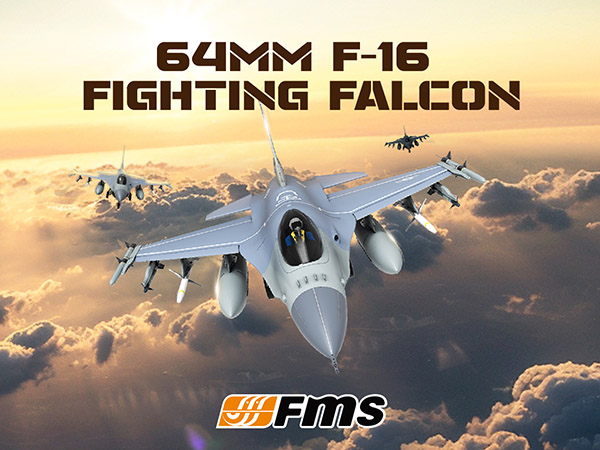 Amazon.com: Fms Rc Planes for Adults EDF Jet Remote Control