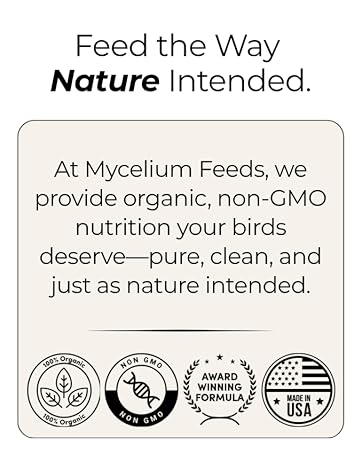 Vegetables Large Bed Raised Container Topsoil FLower Bricks Fertilizer Tomato Lawn Compost Growing