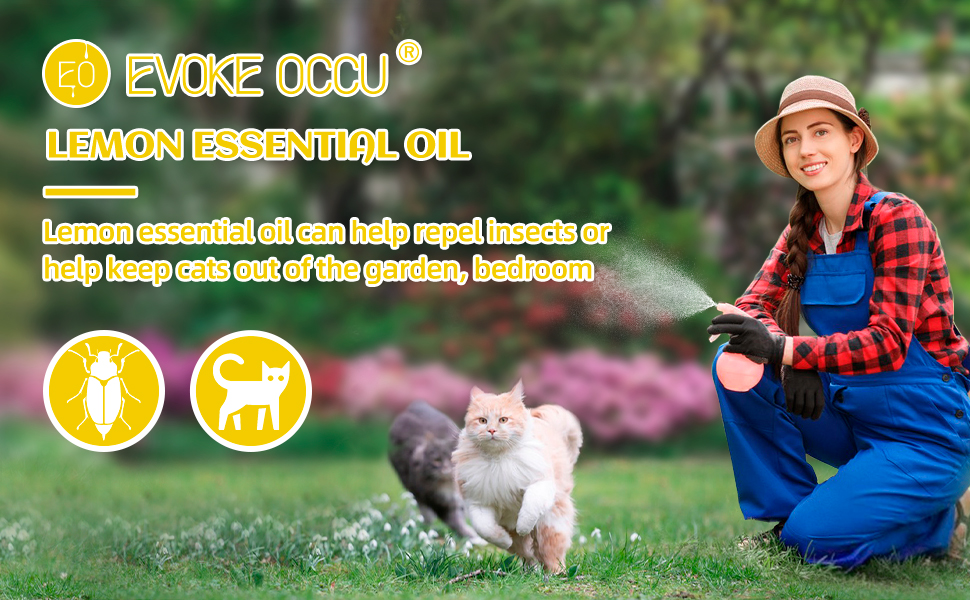 essential lemon oil
