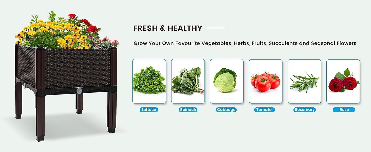 grow favorite fresh and healthy veggies herbs seasonal flowers