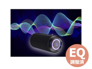 カーブ型ブラックスピーカー2台セット creer-net_kicker-43csc464