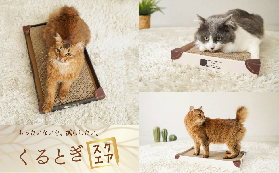 ☘️【アイボリー】くるとぎスクエア 猫の爪研ぎ スタイリッシュデザイン 楽天市場】くるとぎスクエア 猫の爪研ぎ スタイリッシュデザイン