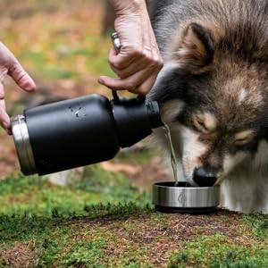hundetrinkflasche für unterwegs