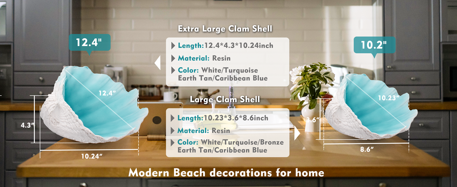Extra-Large-Clam-Shells-Decorative-Bowl-size-2