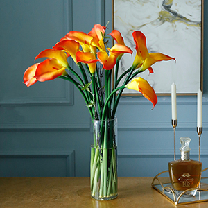 Orange Calla Lily