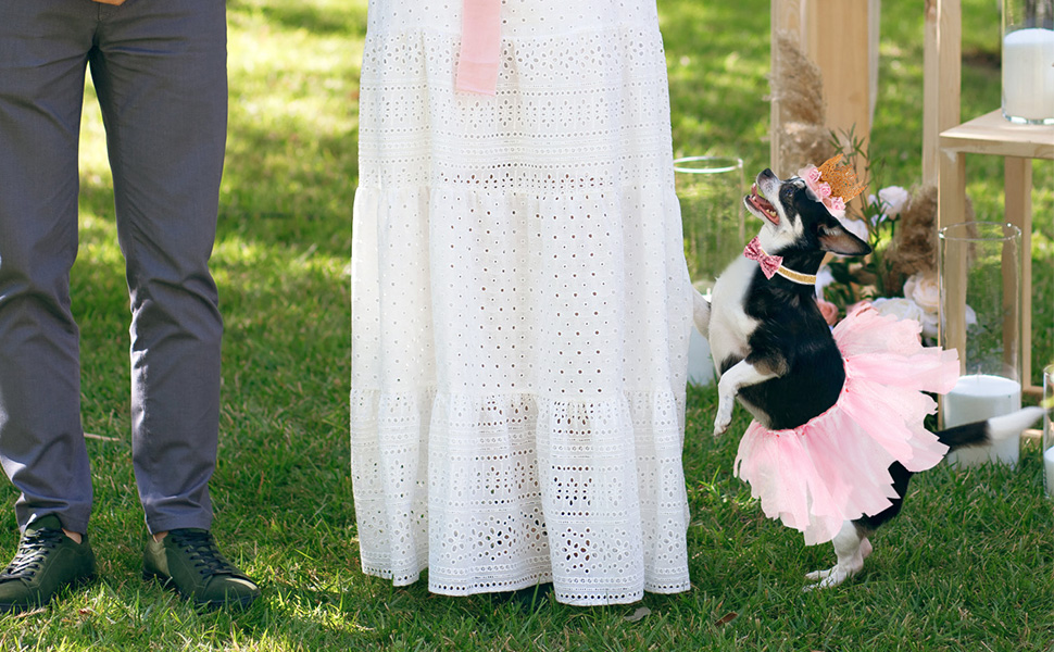 Dog Birthday Bandana with Crown and Dress Girl Set
