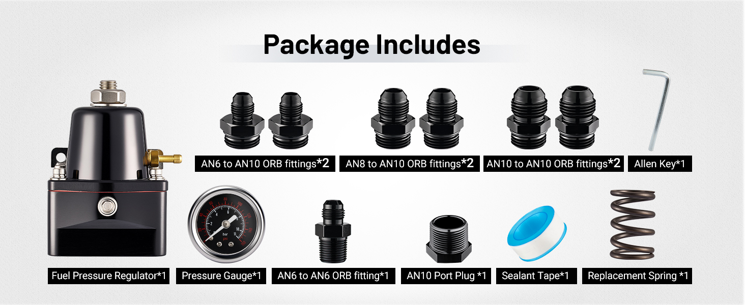 fuel pressure regulator