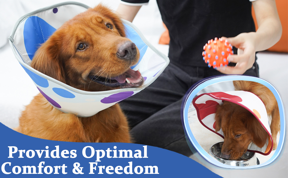 Dog Cone, Soft Recovery Collar for Small Medium Large Dogs