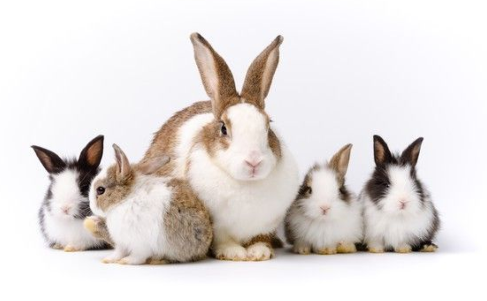 Large manufacture image 6