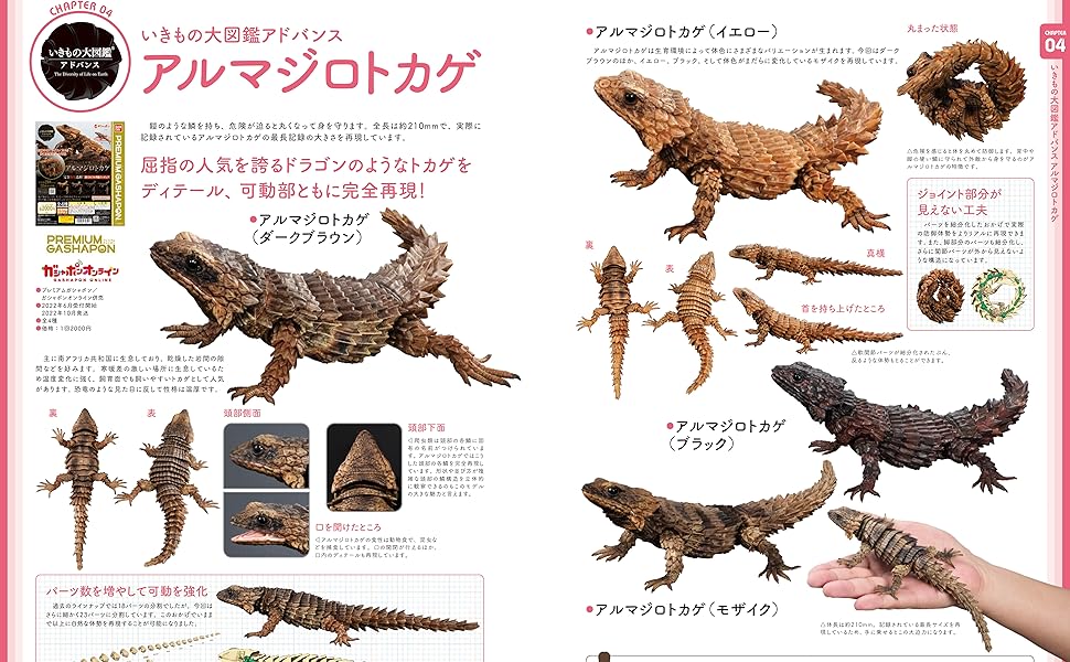 いきもの大図鑑 まとめ売り(アドバンス含) 本日発売】「『いきもの大図鑑』の大図鑑」【ガシャポン