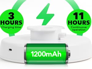 The interactive cat toy