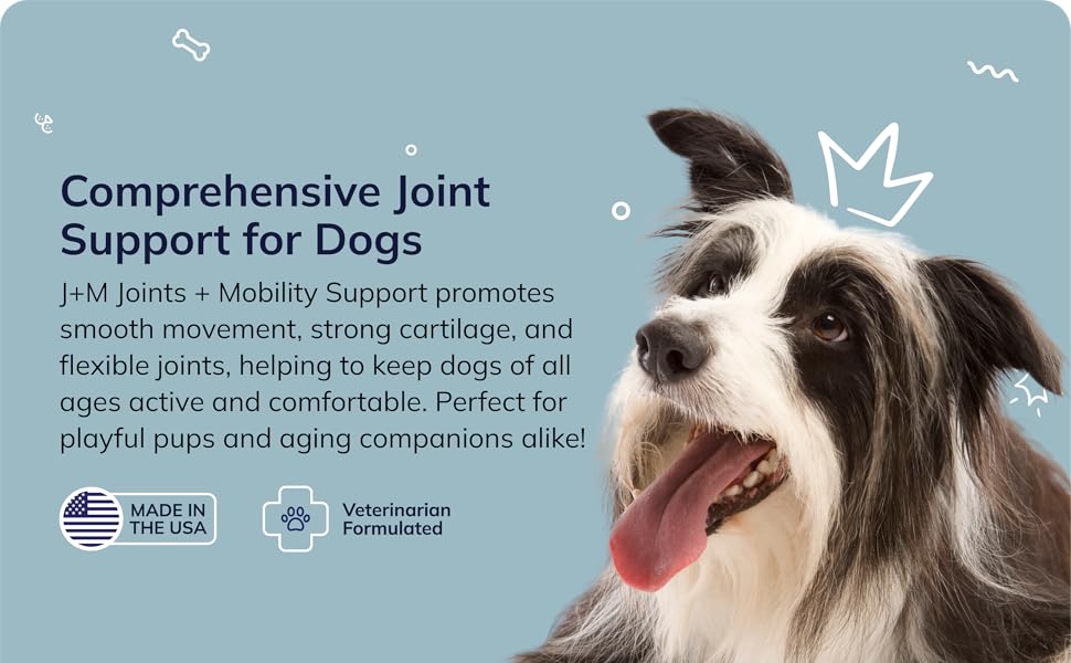 Joint Support for Dogs
