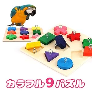 Amazon.co.jp: fuu 鳥の知育おもちゃ カラフル9パズル 小鳥 知育
