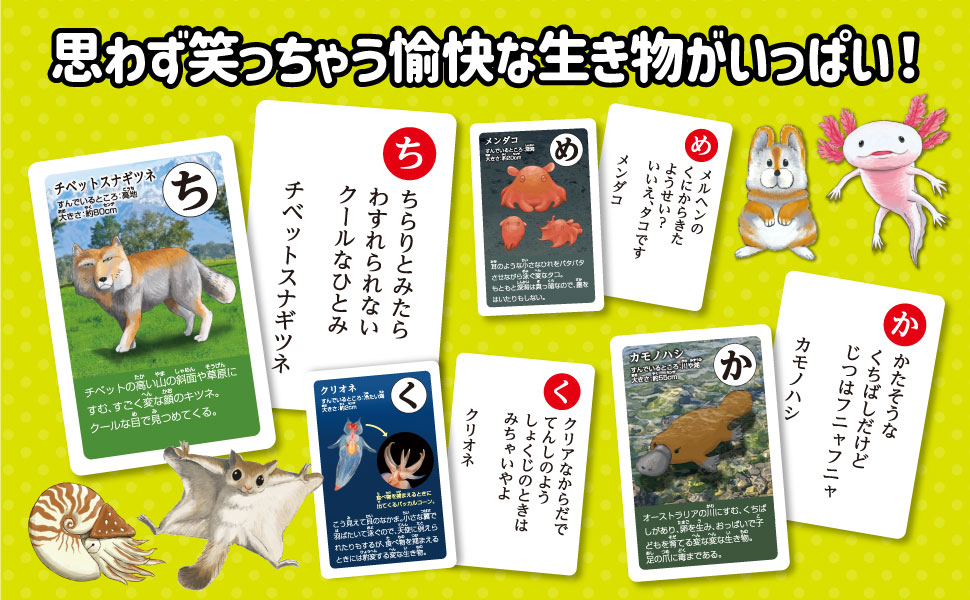 Amazon | アーテック 変ないきものかるた 3568 カードゲーム