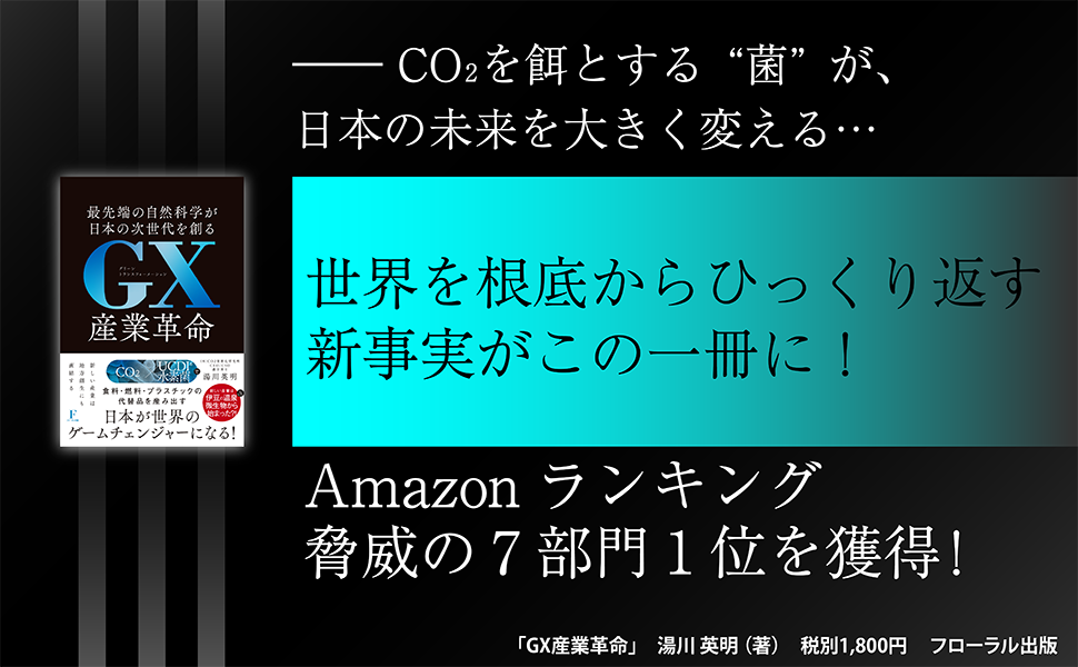 美しい産業革命さん専用 GX産業革命 | 湯川 英明 |本 | 通販 | Amazon
