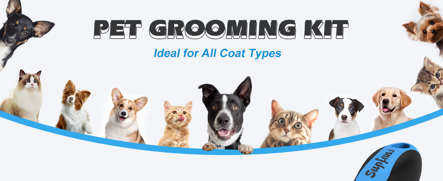 cat brushes for indoor cats