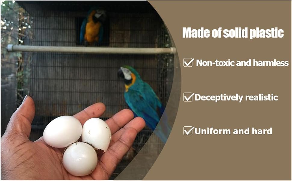 Solid Plastic Parrot Eggs - Dummy Hatching Eggs for Green Cheek Conure, Lorikeet, Ringneck Dove