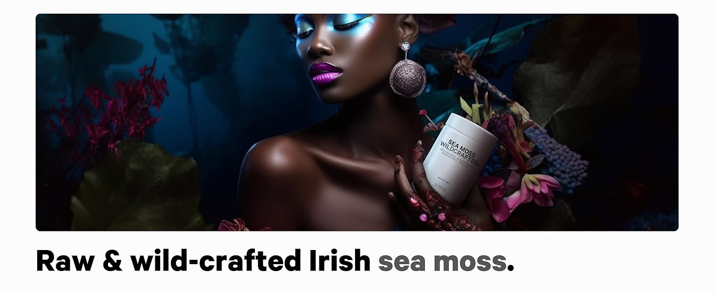 raw wildcrafted Irish Sea moss, organic sea moss, irish sea moss, wildcrafted sea moss, supplement