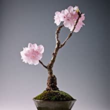 Small manufacture image 7