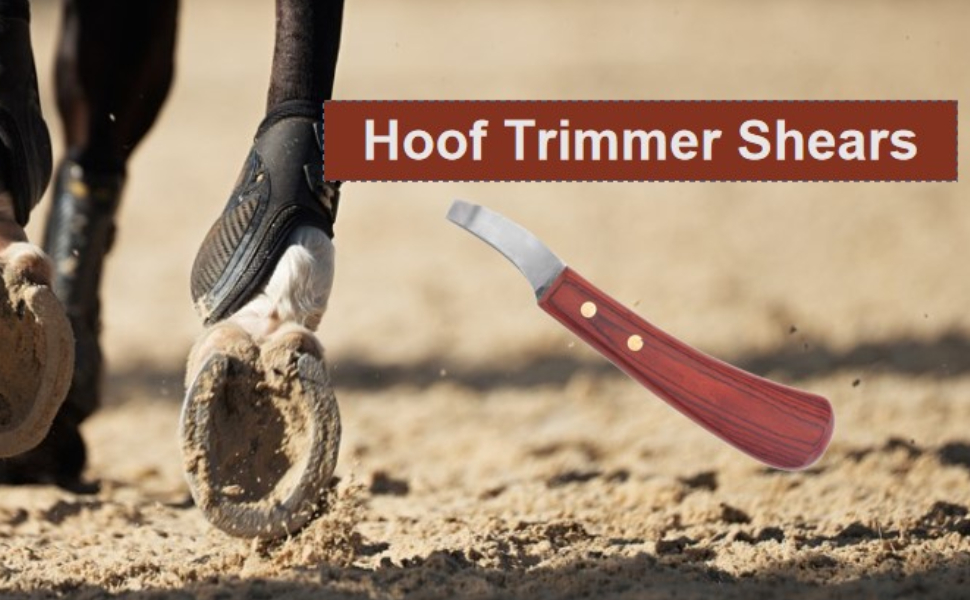 KUIDAMOS Hoof Trimmer, Loop Hoof Knife Farrier Tool