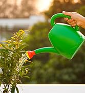 Plastic watering can
