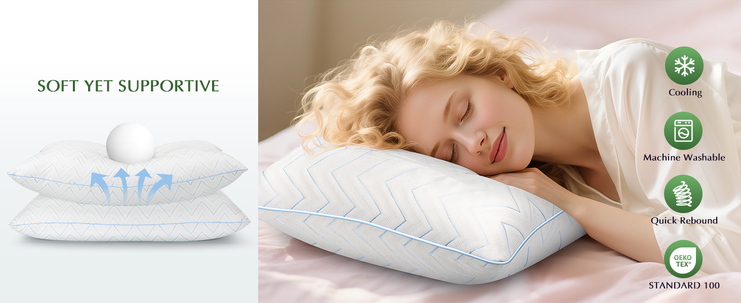 queen pillows set of 2