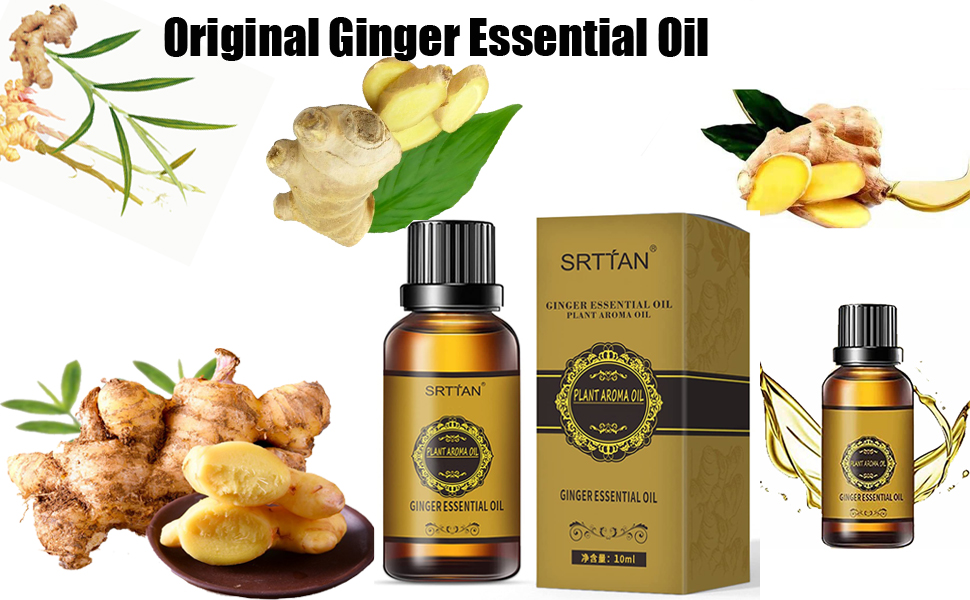 Belly Drainage Ginger Oil,GLymphatic Drainage Ginger Oil, Ginger Essential Oil Plant