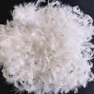 Goose Down Feather