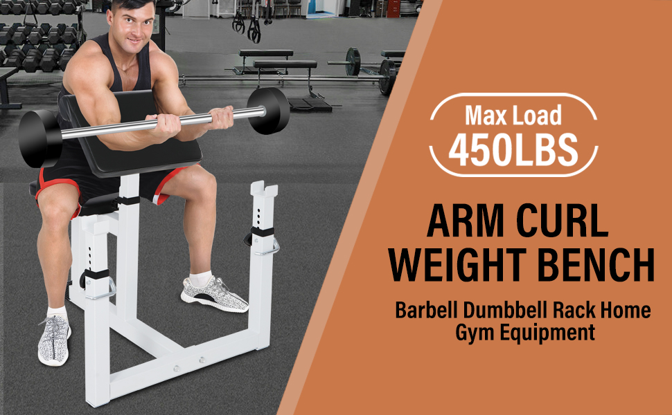 ANT MARCH CURL BENCH