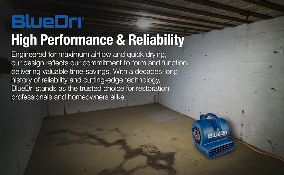 BlueDri Max Storm 25 BD-MS25 Ari Mover