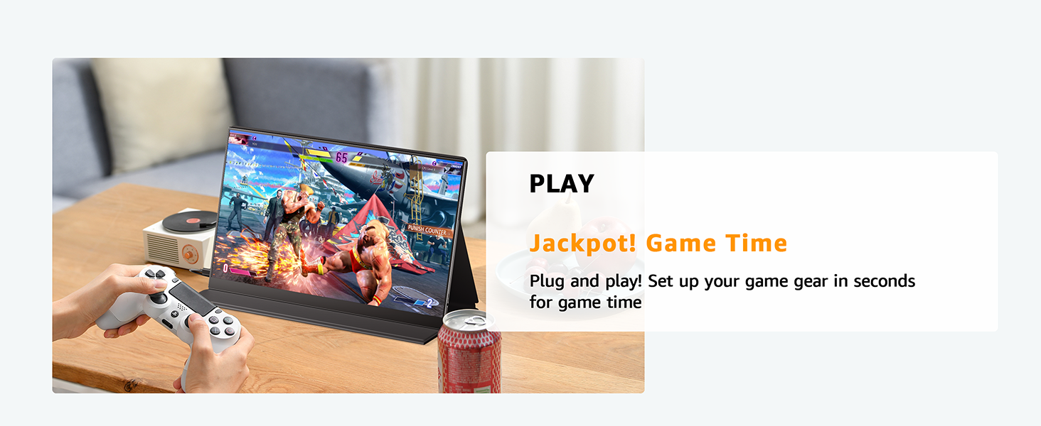 Portable monitor