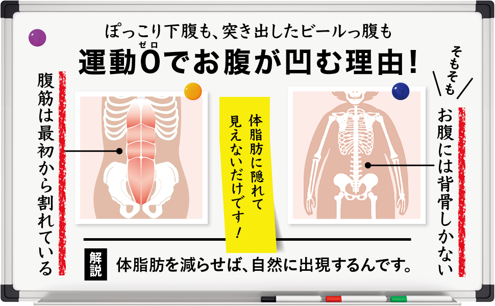 ムダな脂肪をメラメラ燃やす本 １カ月でやせる驚異のシェイプアップ法/講談社/伊藤雄康（新書） Yahoo!オークション - ◯1ヶ月でやせる驚異のシェイプアップ法