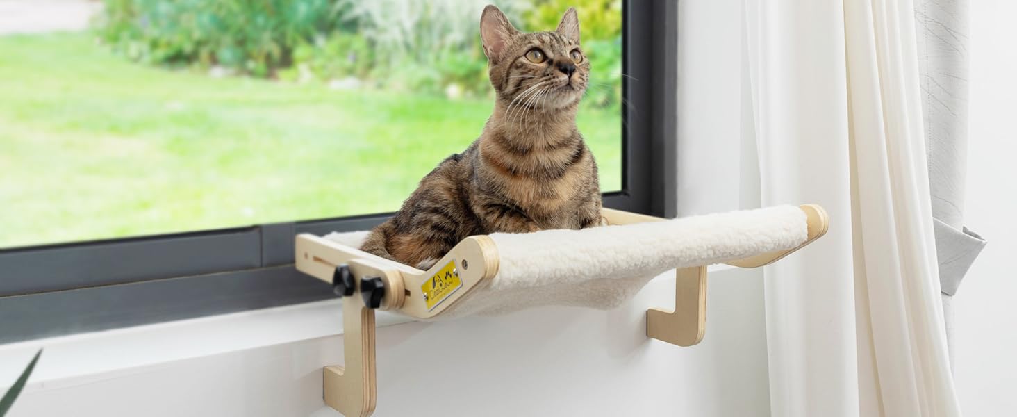 cat window perch