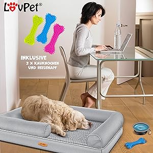 het beste huisdierbed voor je hond